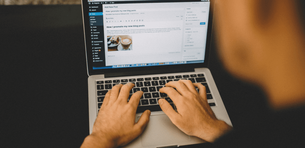 MailChimp on WordPress Features and Installation